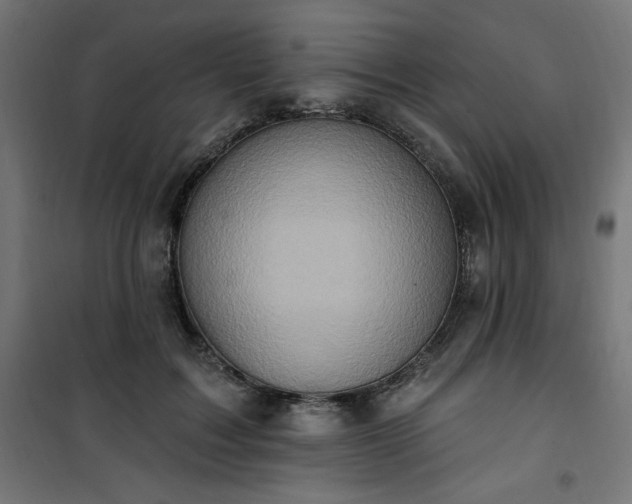 X0000101150603200807071151