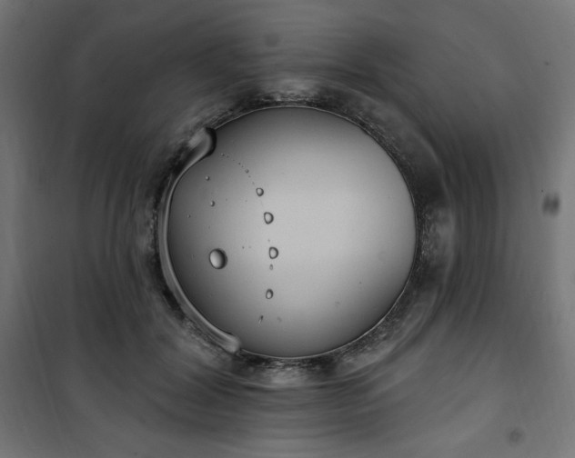 X0000101150604200807071151