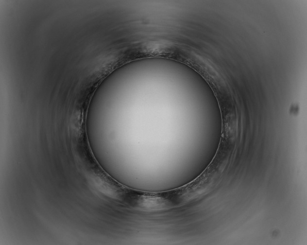 X0000101150605200807071151