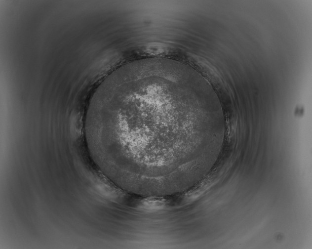 X0000101150606200807071151