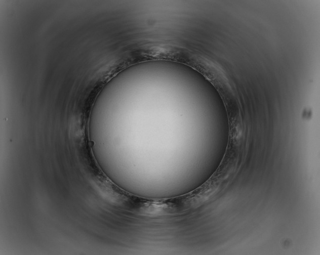 X0000101150607200807071151