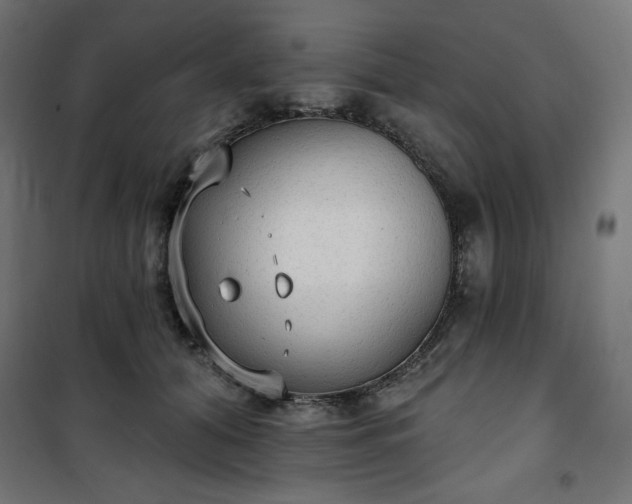 X0000101150608200807071151