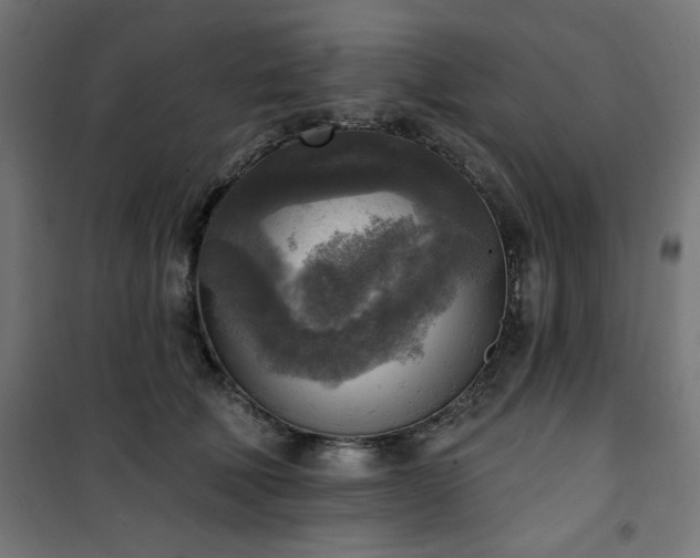 X0000101150610200807071151