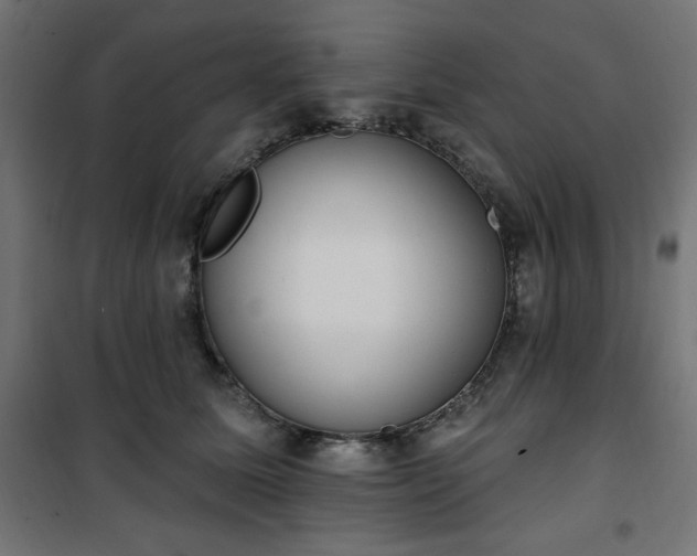 X0000101150611200807071151