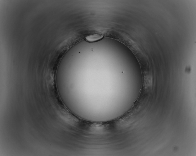 X0000101150613200807071151