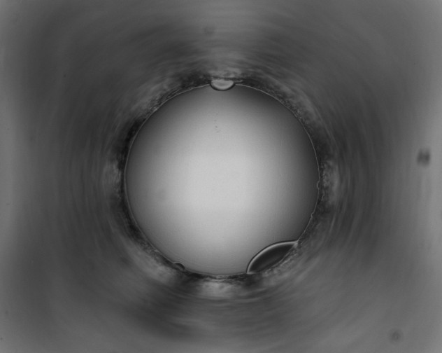 X0000101150614200807071151