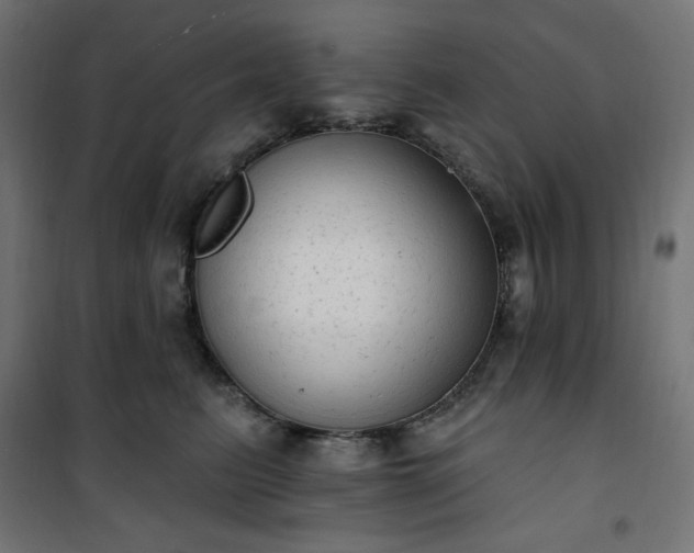 X0000101150615200807071151