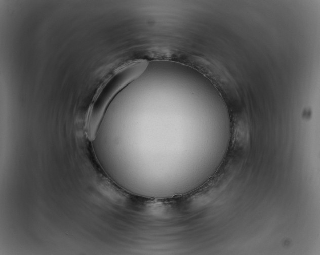 X0000101150616200807071151