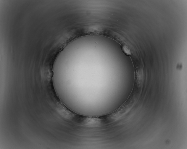 X0000101150617200807071151