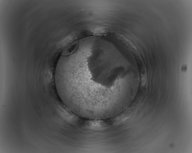 X0000101150618200807071151