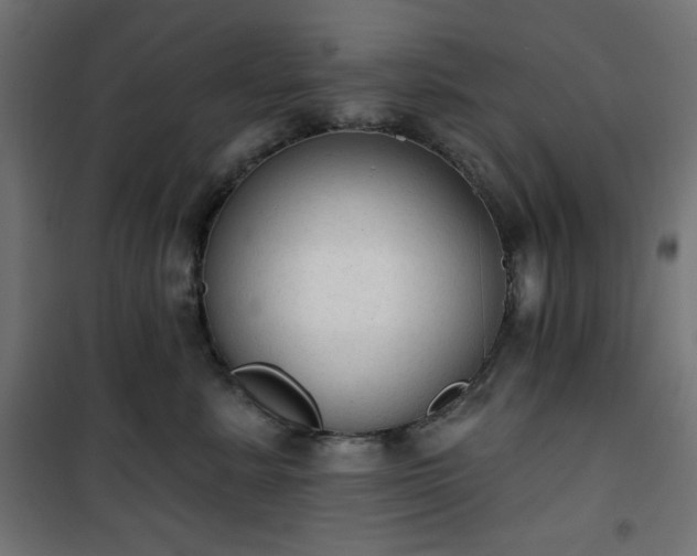 X0000101150619200807071151