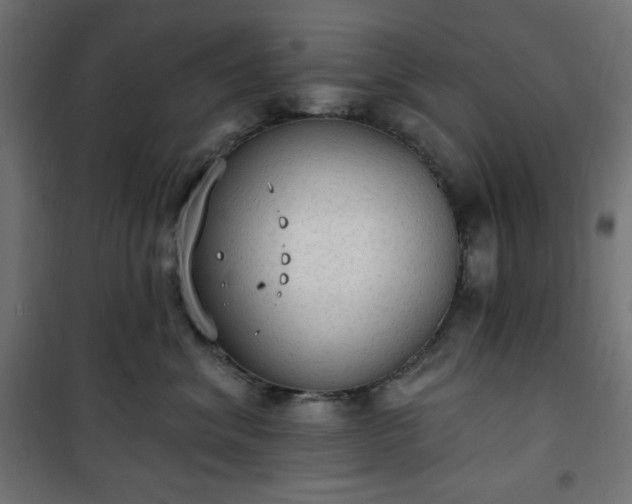 X0000101150620200807071151