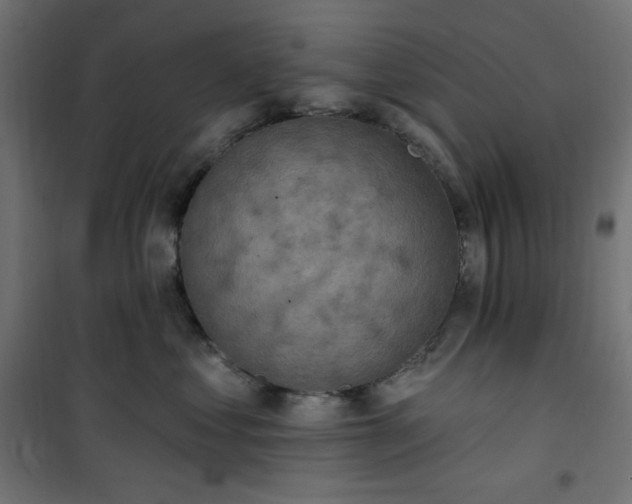 X0000101150621200807071151