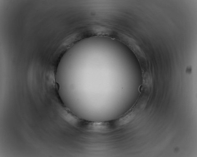 X0000101150622200807071151