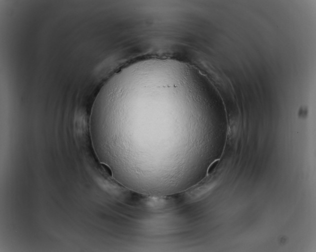 X0000101150623200807071151