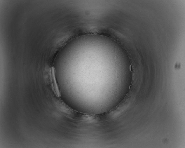 X0000101150624200807071151