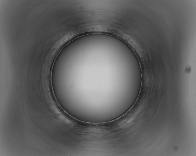 X0000101150625200807071150