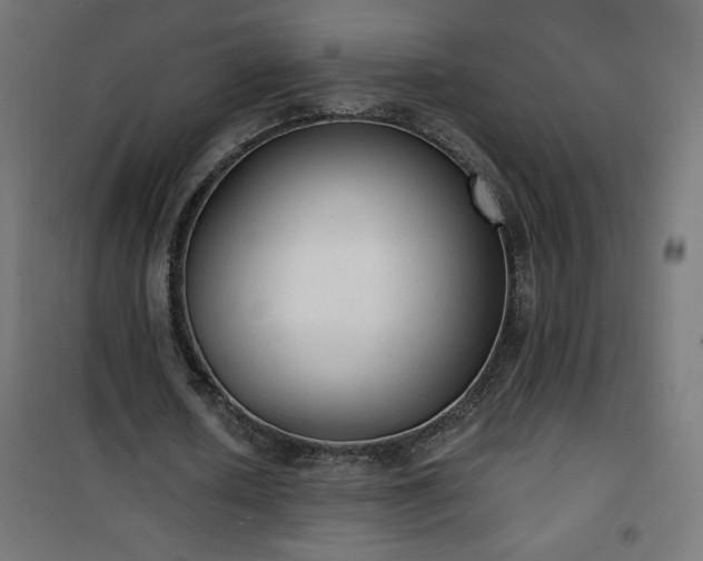 X0000101150626200807071150