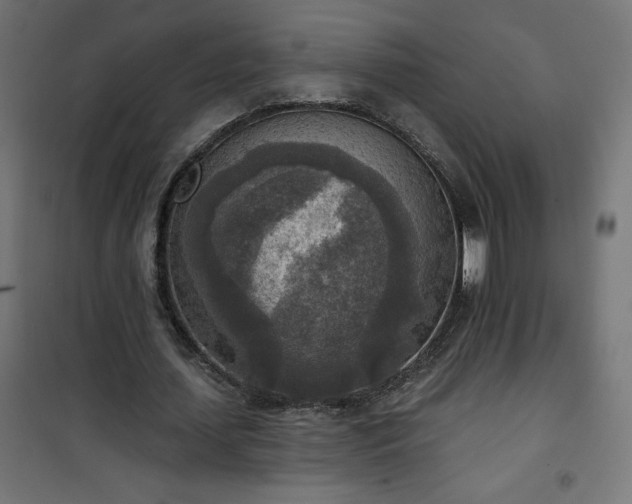 X0000101150627200807071150