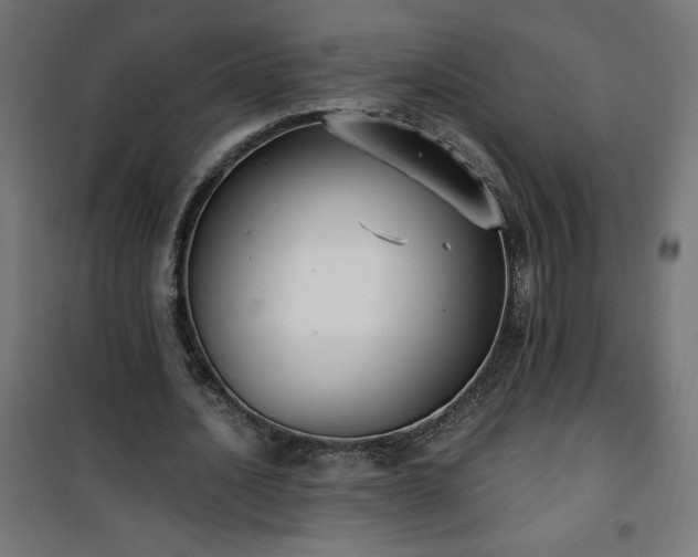 X0000101150628200807071150