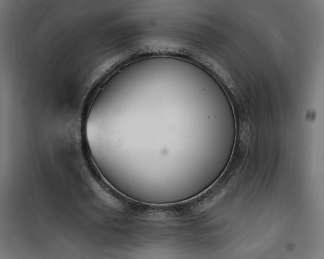 X0000101150629200807071150