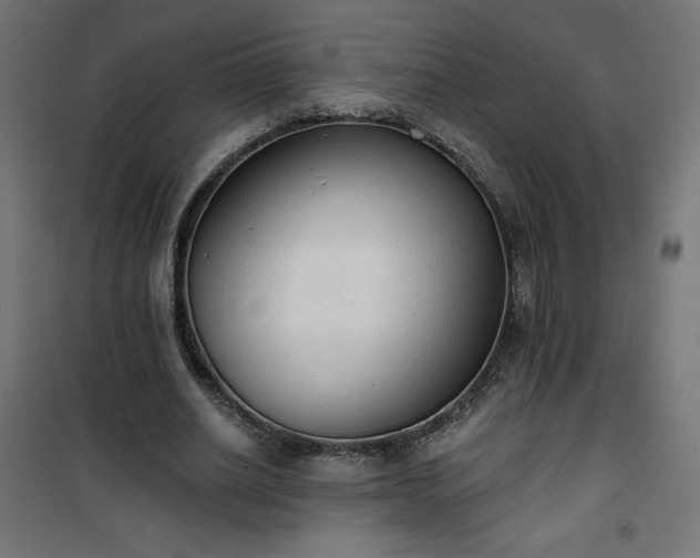 X0000101150630200807071150