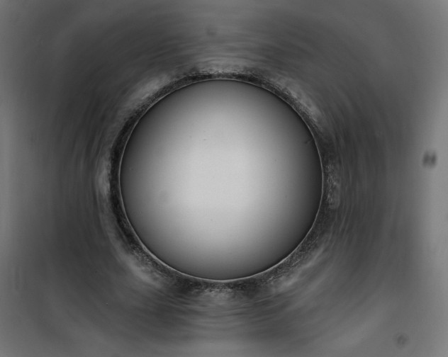 X0000101150631200807071150