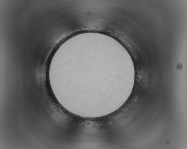 X0000101150632200807071150