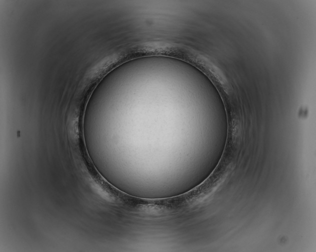 X0000101150633200807071150