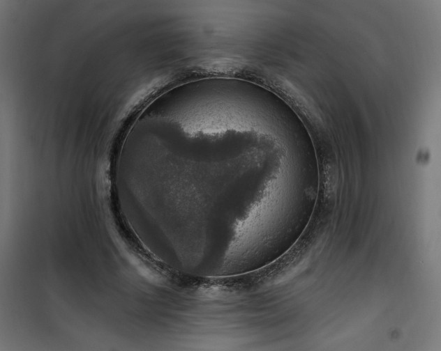 X0000101150634200807071150