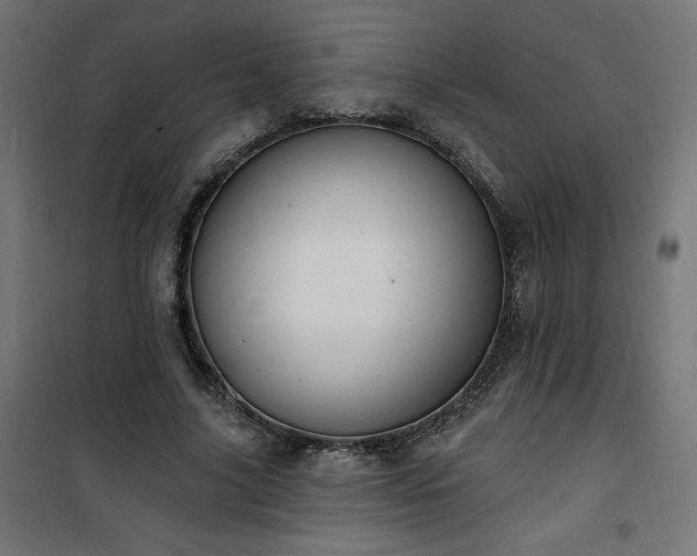 X0000101150635200807071150