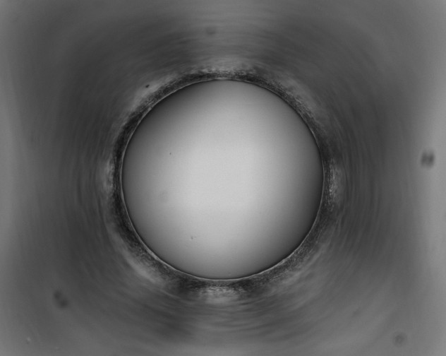 X0000101150636200807071150