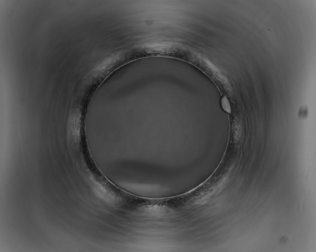 X0000101150637200807071150