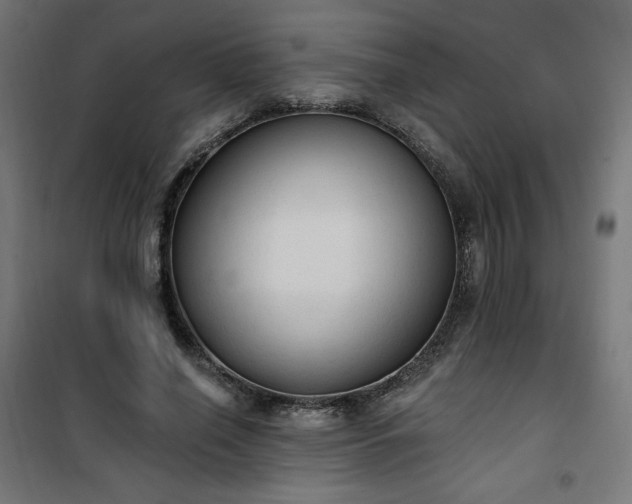 X0000101150638200807071150