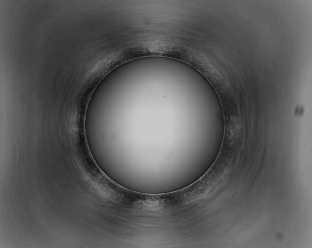 X0000101150639200807071150