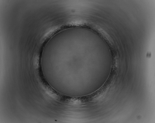 X0000101150640200807071150