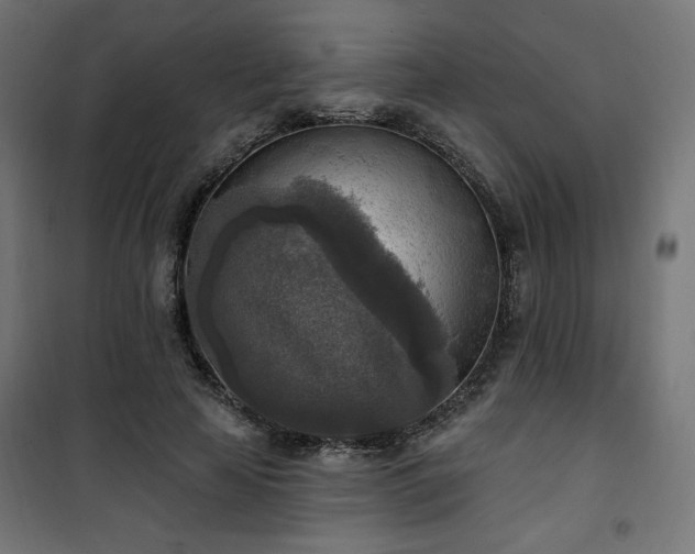 X0000101150641200807071150