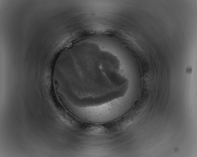 X0000101150642200807071150