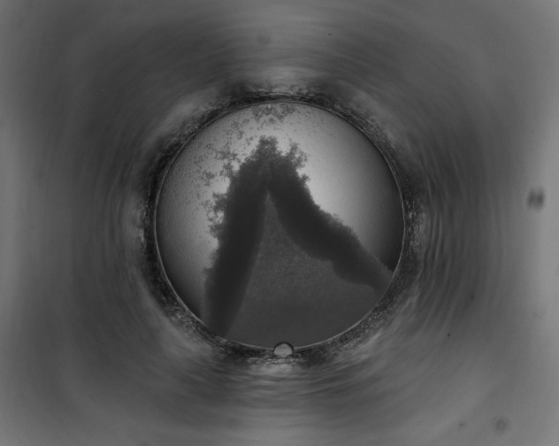 X0000101150643200807071150