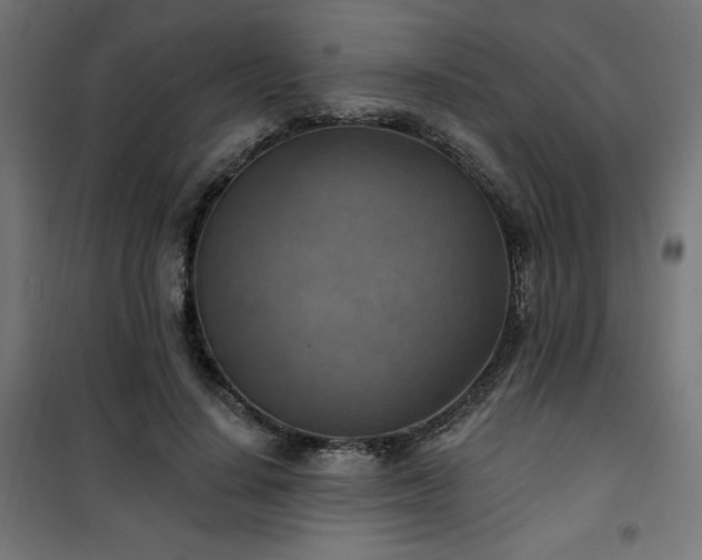 X0000101150644200807071150