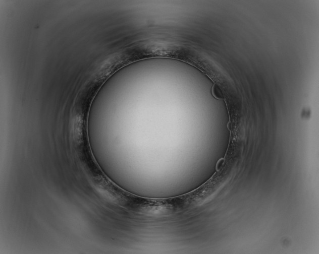 X0000101150646200807071150