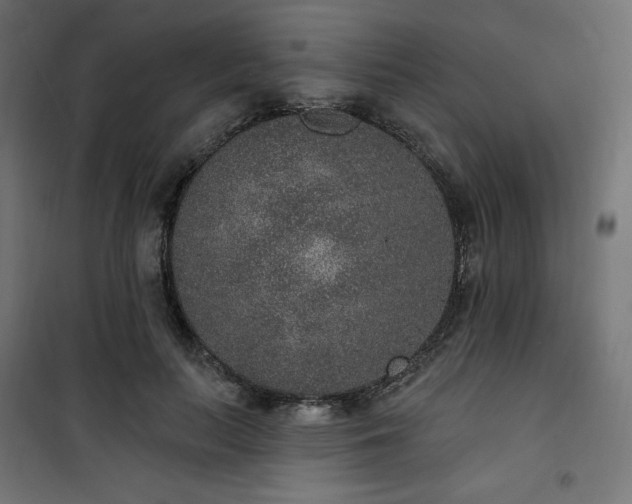 X0000101150647200807071151