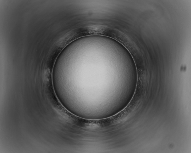 X0000101150649200807071151