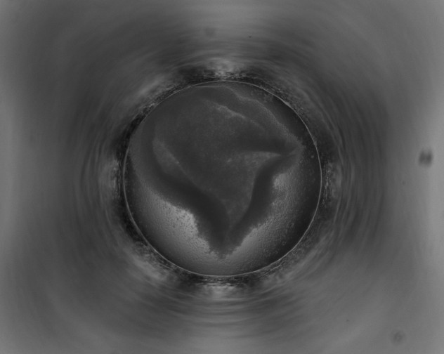 X0000101150650200807071151