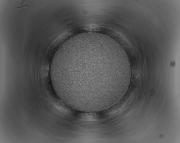 X0000101150652200807071151