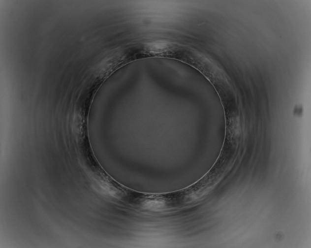 X0000101150653200807071151