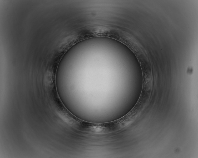 X0000101150654200807071151