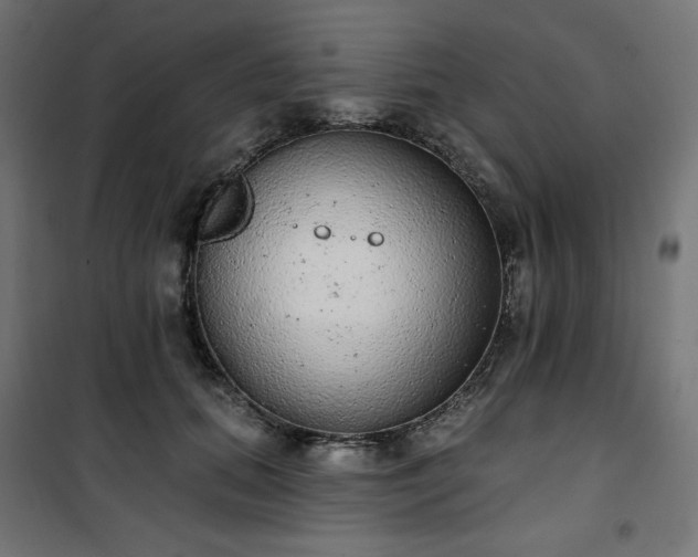 X0000101150655200807071151