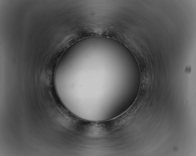 X0000101150656200807071151