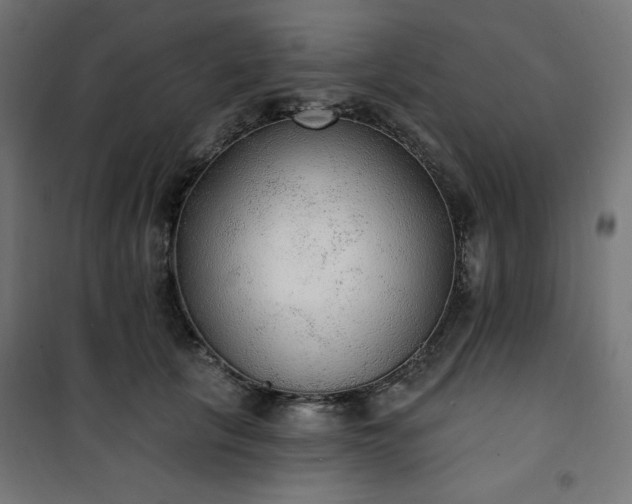 X0000101150657200807071151